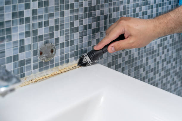 Best DIY Mold Remediation Support Services in Baird, TX
