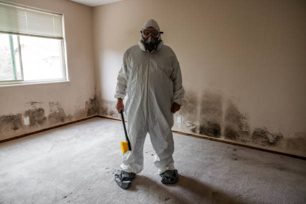 Professional Mold Remediation in Baird, TX
